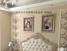 使用硅藻泥天然“綠色涂料”給你一個健康生態家庭