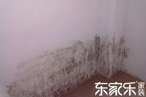 墻面發霉是什么原因導致的？